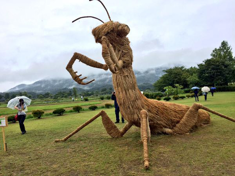 Illustration for article titled Straw Dinosaurs Appear in Japanese Fields, Try To Eat Humans